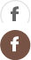 icona facebook